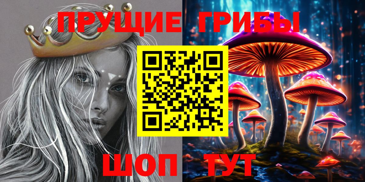 Псилоцибиновые грибы ЛСД  Вход с VPN  Нижнекамск  Псилоцибиновые грибы GOLDEN TEACHER 