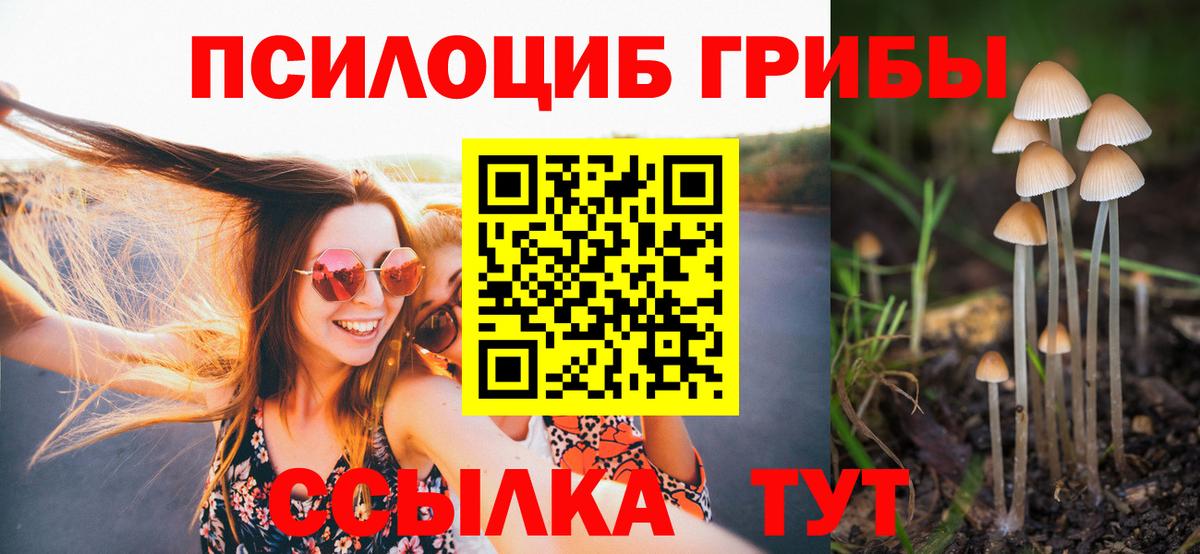 Псилоцибиновые грибы MAGIC MUSHROOMS Нижнекамск
